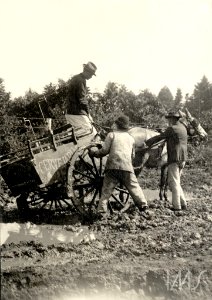 Carroça de cervejaria atolada na lama - Vincenzo Pastore