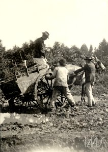 Carroça de cervejaria atolada na lama - Vincenzo Pastore photo