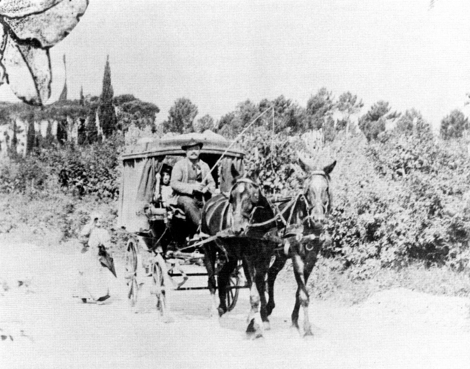 Carrozza sanca-merca