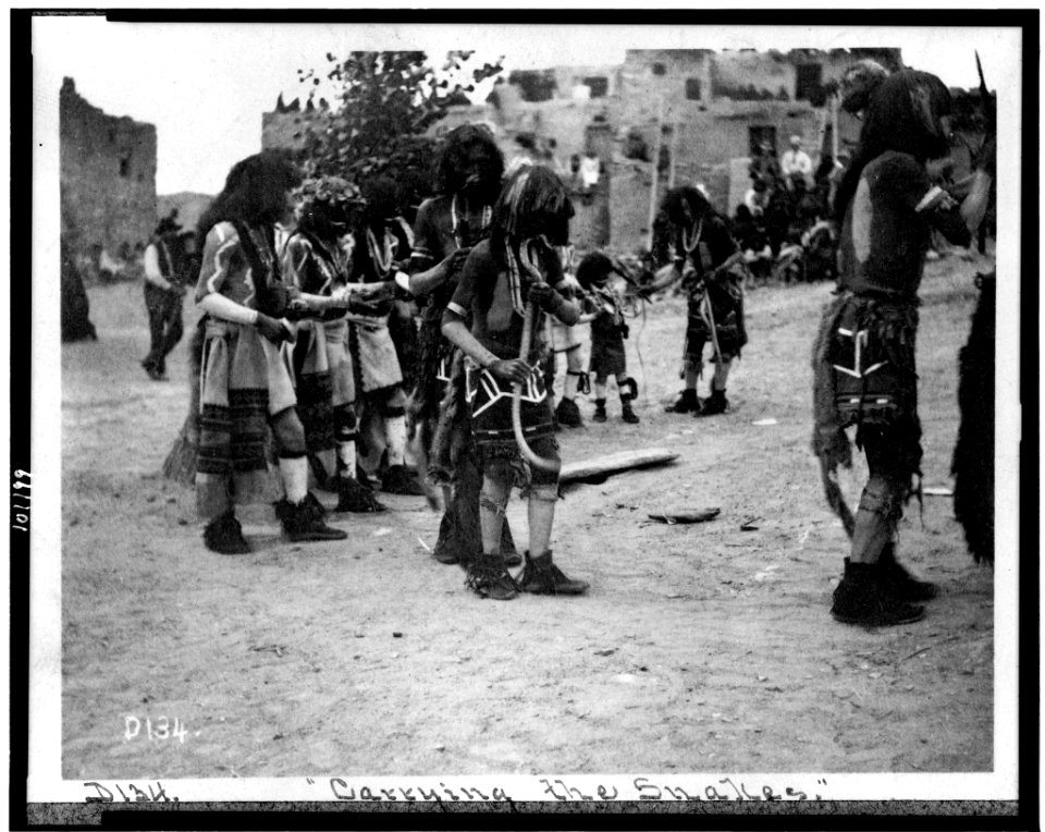 Carrying the snakes LCCN90710215