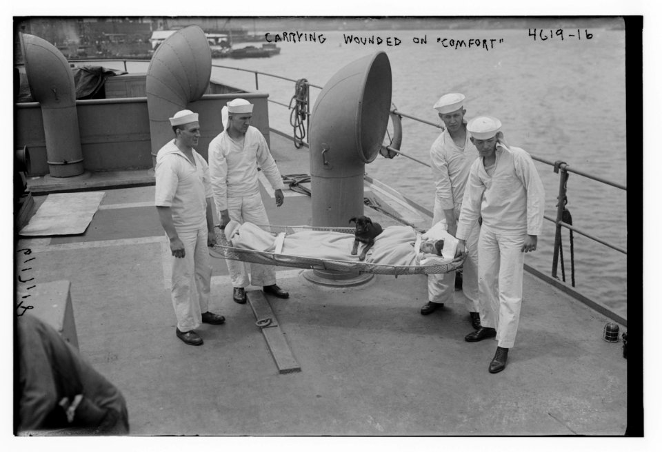 Carrying wounded on COMFORT LCCN2014707186