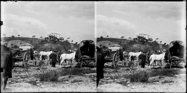 Carros , cavalls i gent a la vora de Cardedeu i al fons una masia