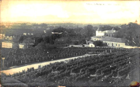 Cars - château Pardailhan 1