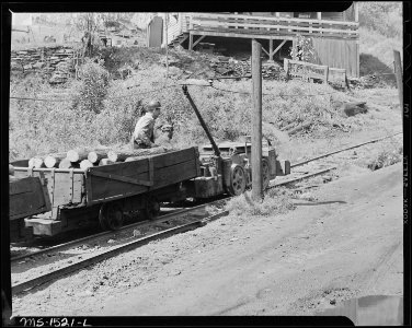 Carrying timbering to the mine. Gilliam Coal and Coke Company, Gilliam Mine, Gilliam, McDowell County, West Virginia. - NARA - 540836
