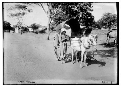 Cart, Madura LCCN2014708751