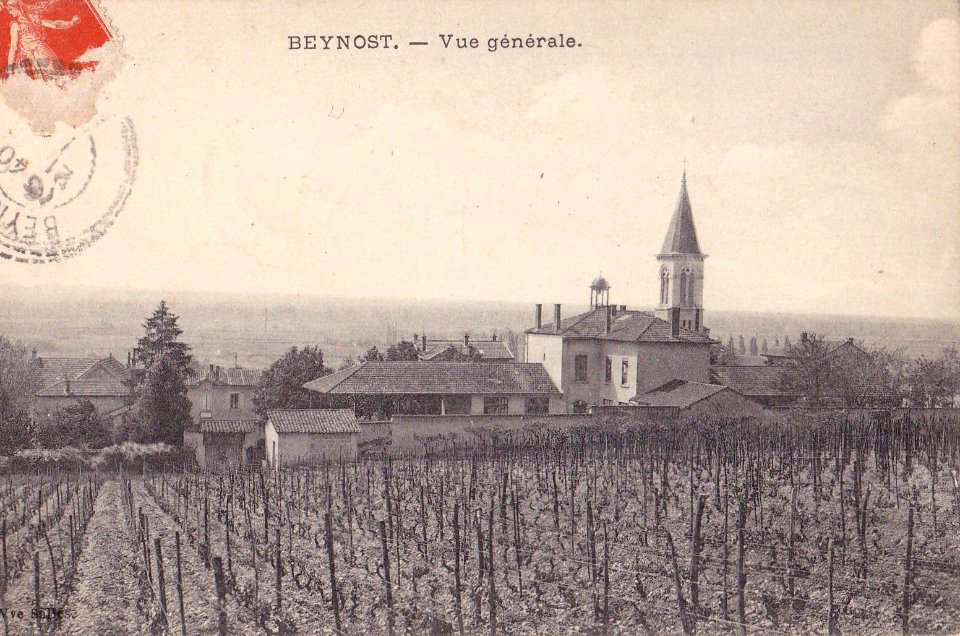 Carte postale - Beynost vers 1910 - Mairie - 2e église Saint-Julien - vignes