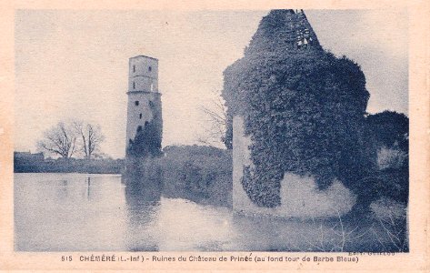 Carte postale ancienne de Chéméré 17