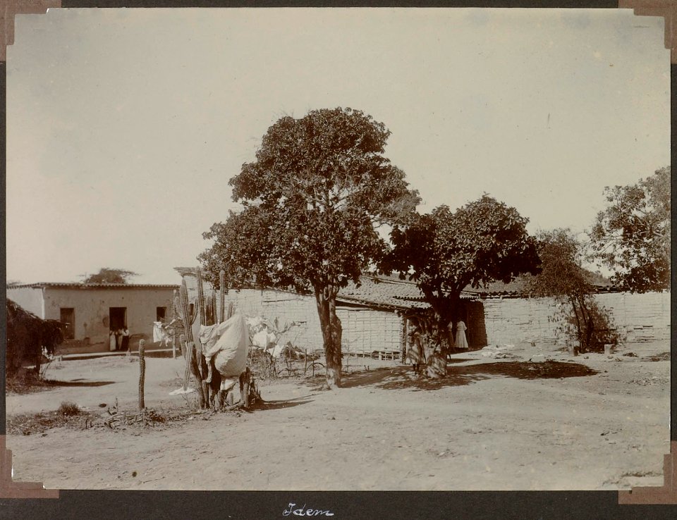 Carupano (13 December 1904) 3