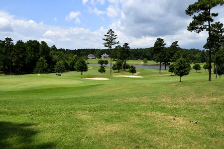 Fairway putt tee photo