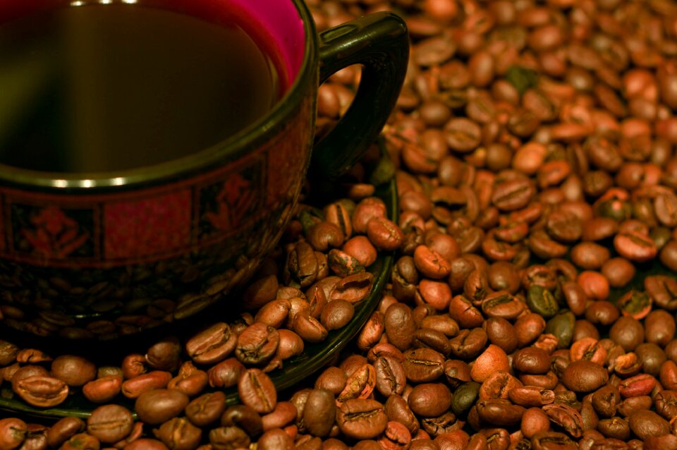 Food coffee seed