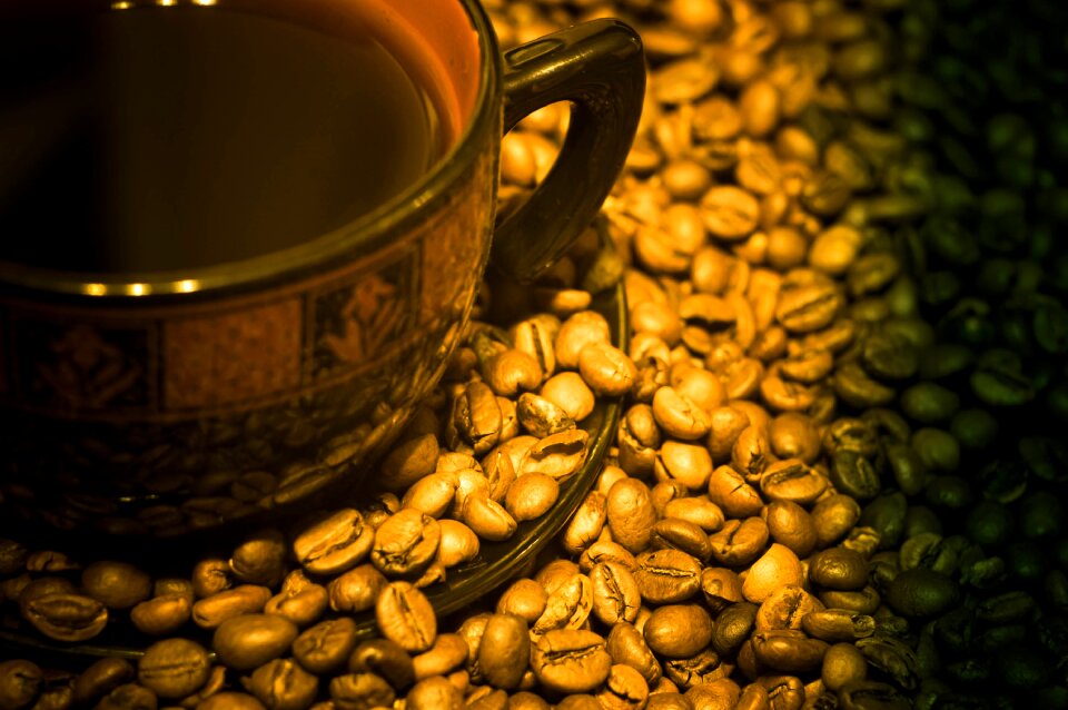 Beans darkness background