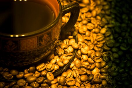 Beans darkness background