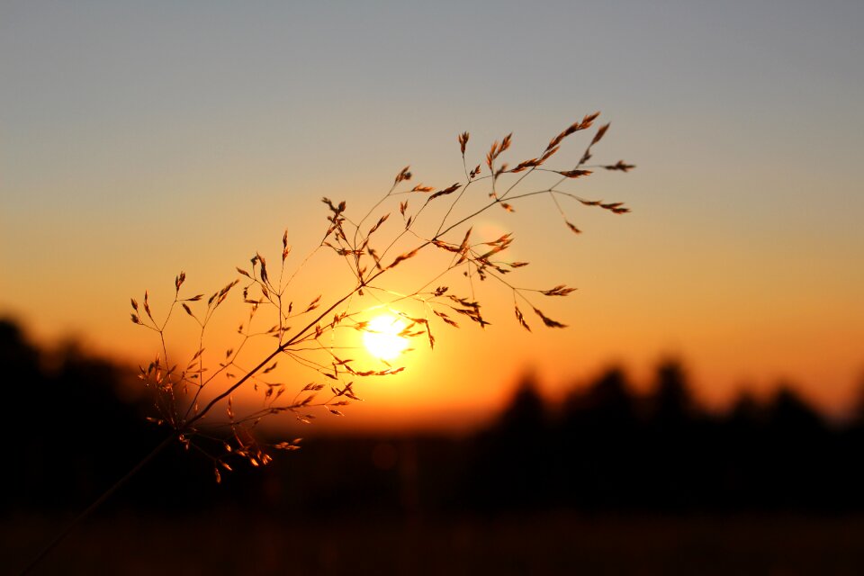 Landscape golden abendstimmung