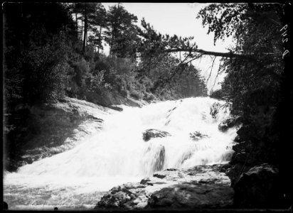 Cascada de la Cueva del riu Arazas voltada de boscos