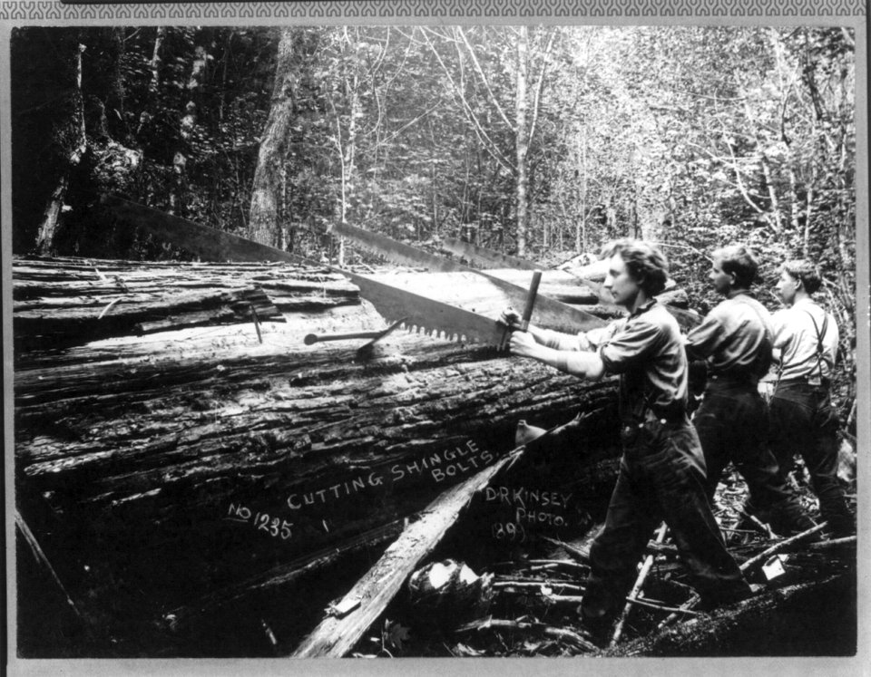 Cascade Mountains, near Seattle, Wash.- (Cutting shingle bolts) LCCN2004665694