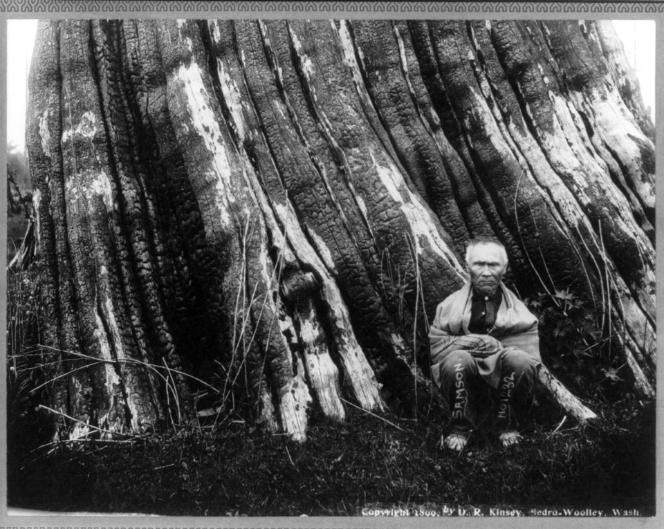 Cascade Mountains, near Seattle, Wash.- (Samson, an old sasquatch Indian, seated in front of a huge tree trunk) LCCN2004665692