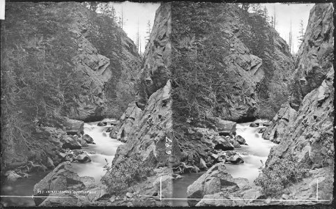 Cascades in the canyon of La Plate Creek. Chaffee County, Colorado. - NARA - 517515
