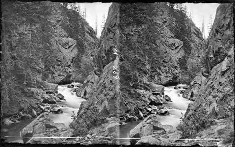 Cascades in the canyon of La Plate Creek. Chaffee County, Colorado. - NARA - 517514