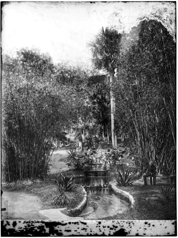 Cascata, Acervo do Instituto Moreira Salles