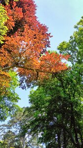 Autumn nature colors autumn mood