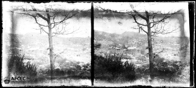 Cases de Castellar del Riu amb arbres en primer terme