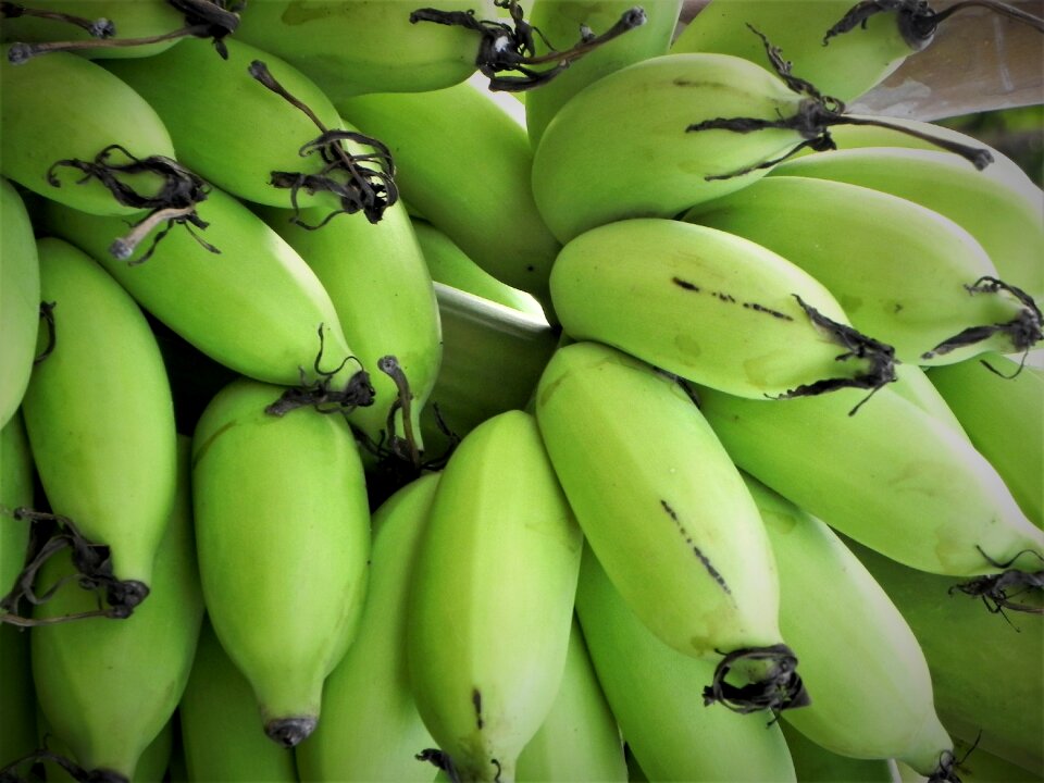 Healthy organic vegetarian
