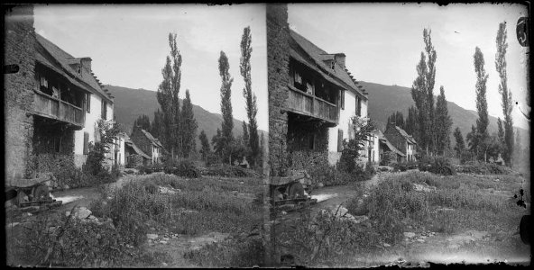 Cases d'un poble de la vall d'Aran i arbres al fons