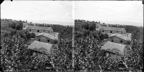 Cases i una església voltats d'arbres