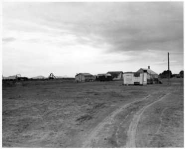 Cashion, Maricopa County, Arizona. Self-resettlement by Southwestern whites on 100 acre subdivision. . . . - NARA - 522522