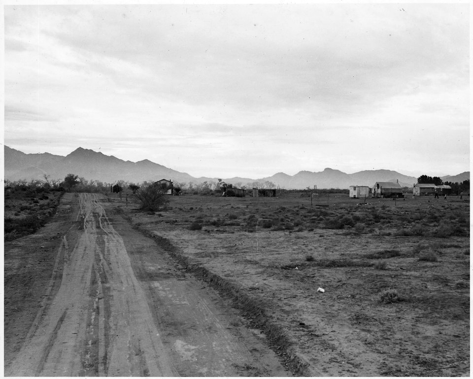 Cashion, Maricopa County, Arizona. Self-resettlement by Southwestern whites on 100 acre subdivision. . . . - NARA - 522523