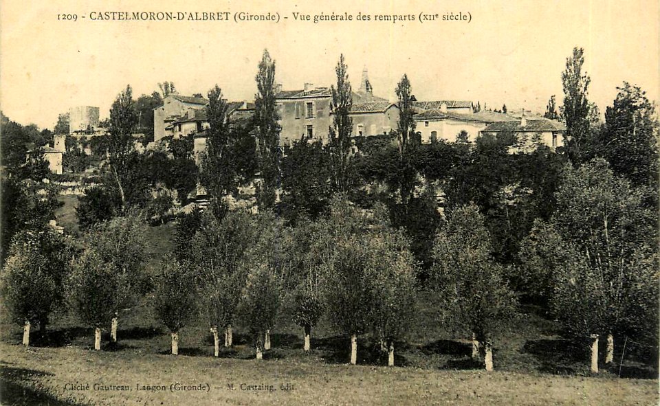 Castelmoron d'Albret - vue générale a