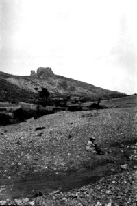 Castell del Rei (FMF P 060)