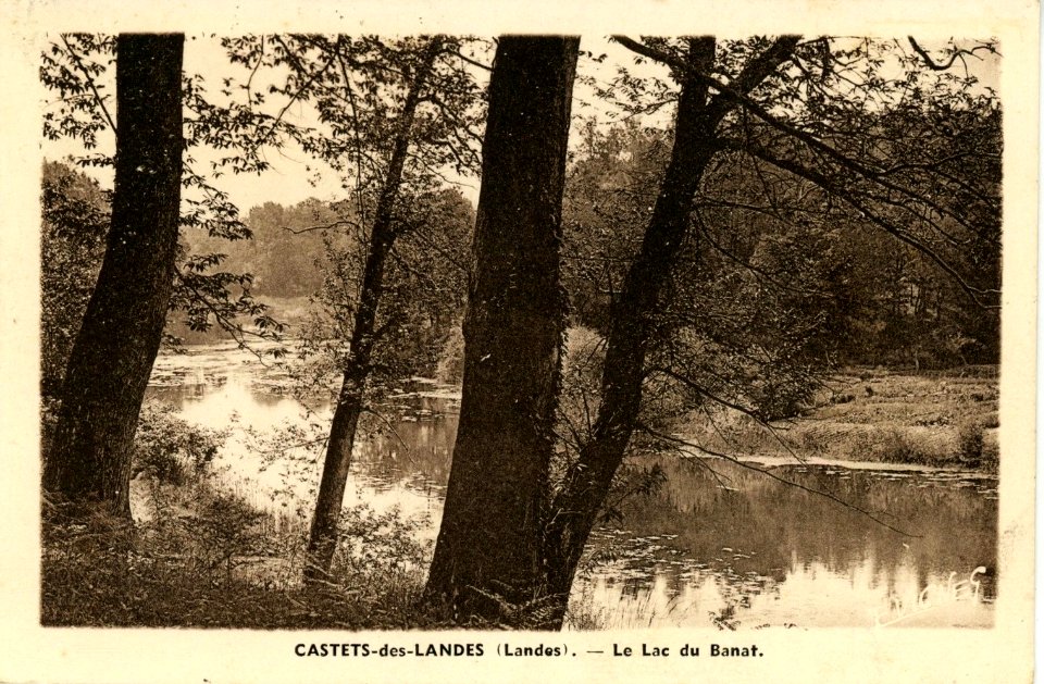 Castets (Landes) - Lac du Banat