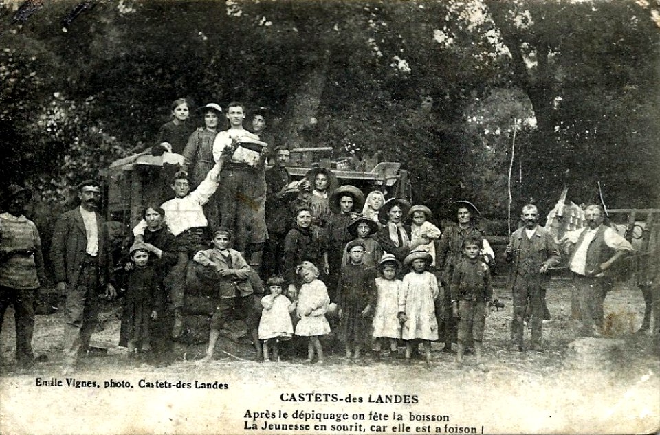 Castets (Landes) - après la dépiquage