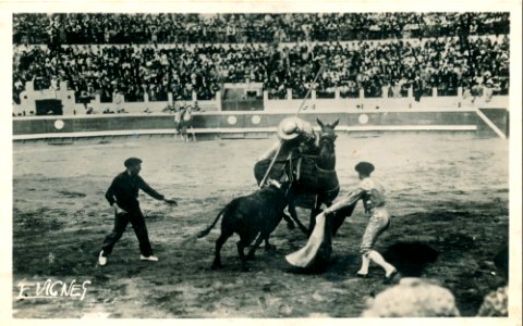 Castets (Landes) - Corrida 1