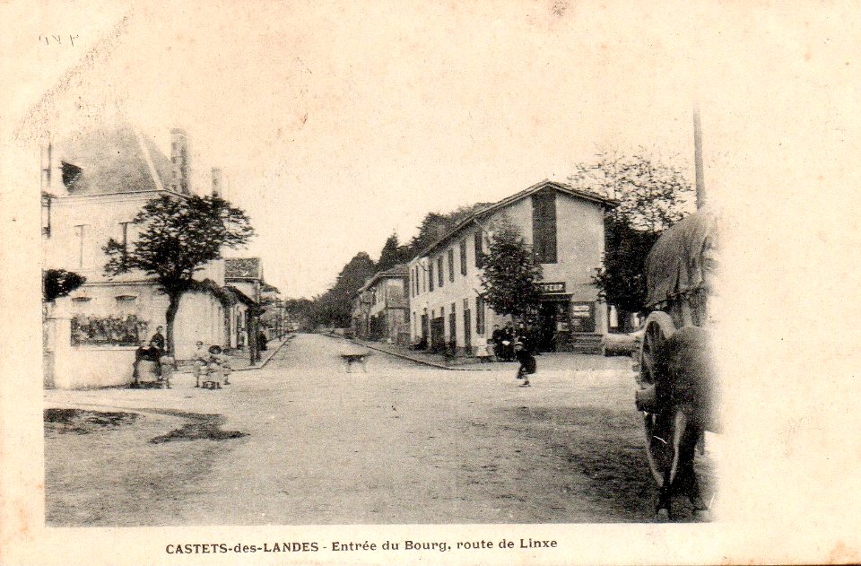 Castets (Landes) - route de Linxe 3