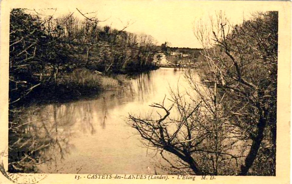 Castets (Landes) - Etang 1