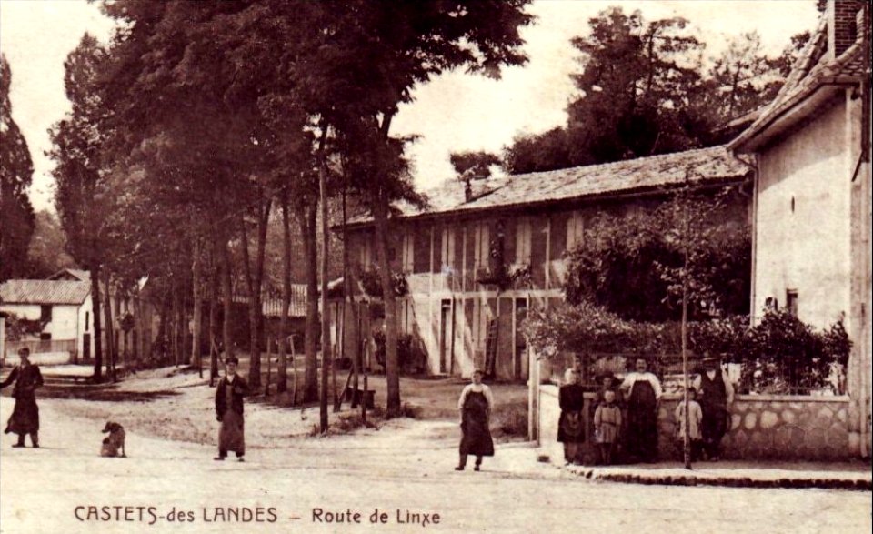 Castets (Landes) - route de Linxe 2