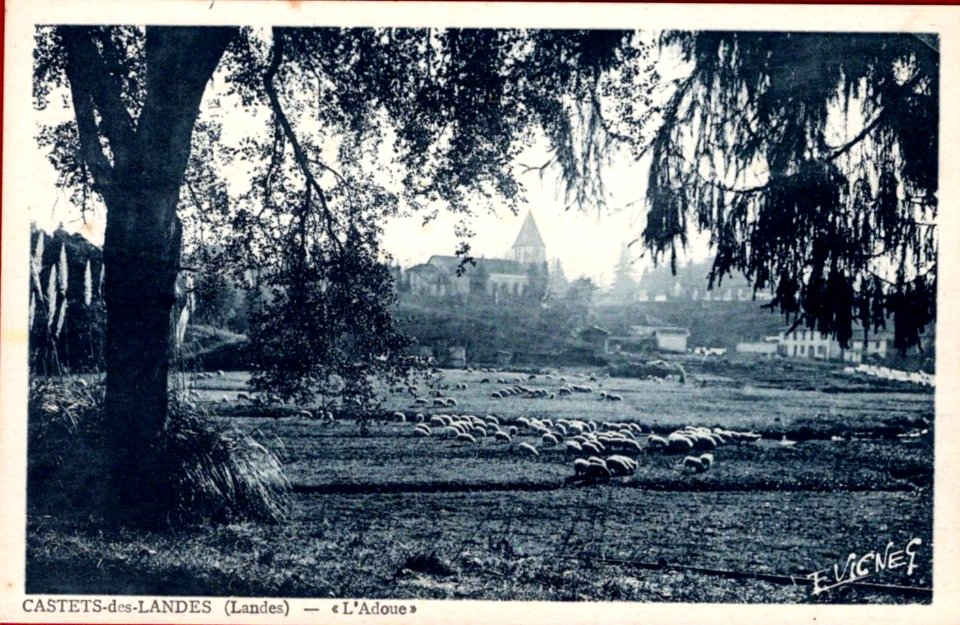 Castets (Landes) - L'Adoue 2