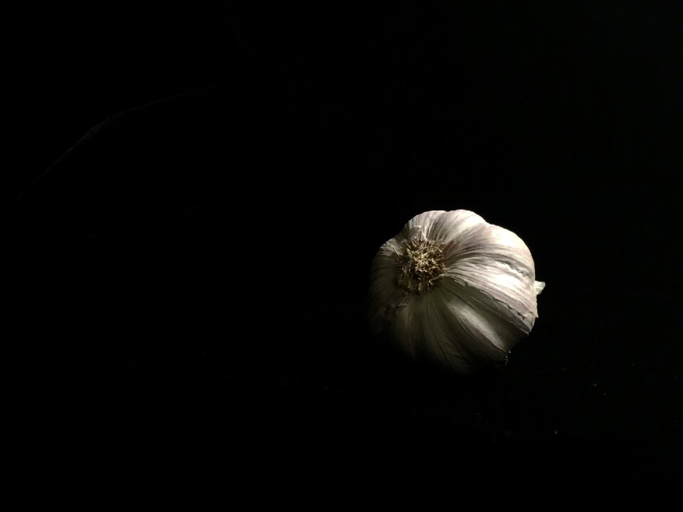 Vegetable drop out black dark