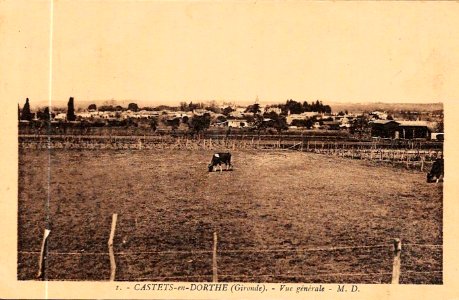 Castets-en-Dorthe - vue générale 2