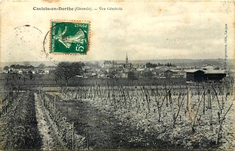 Castets-en-Dorthe - vue générale 6b