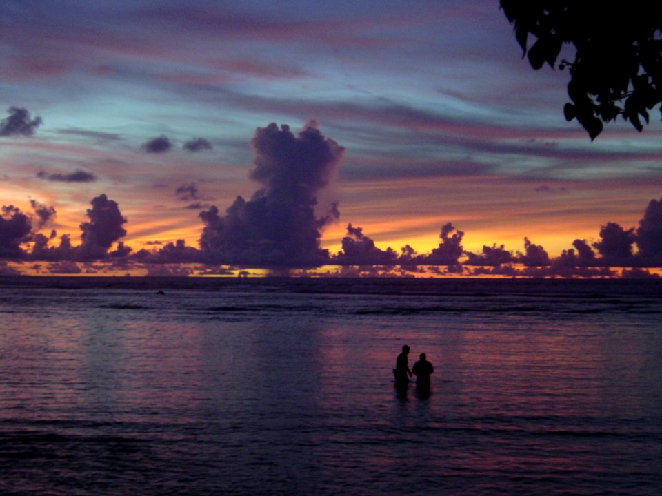 Casting the net in a quiet lagoon at sunset on Guam (line380484854)