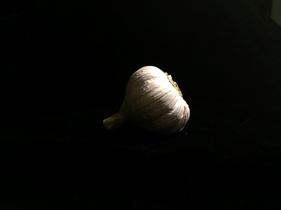 Vegetable drop out black dark