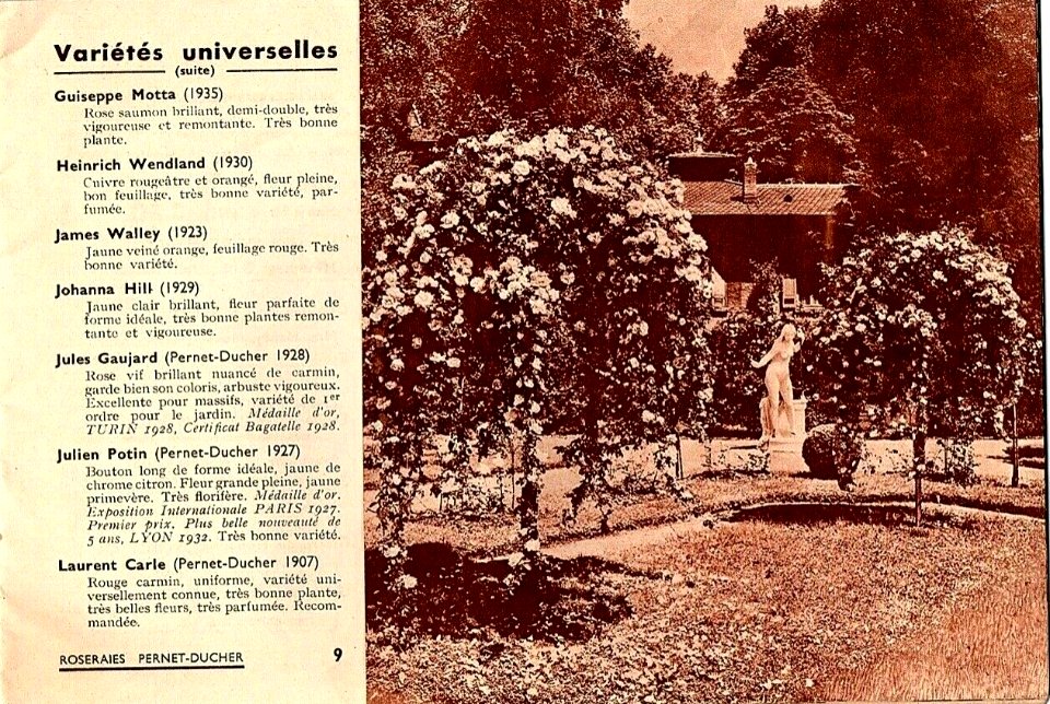Catalogue Pernet-Ducher 1937