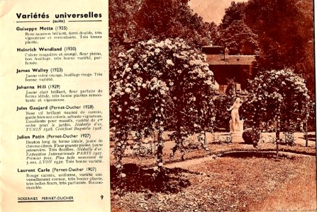 Catalogue Pernet-Ducher 1937