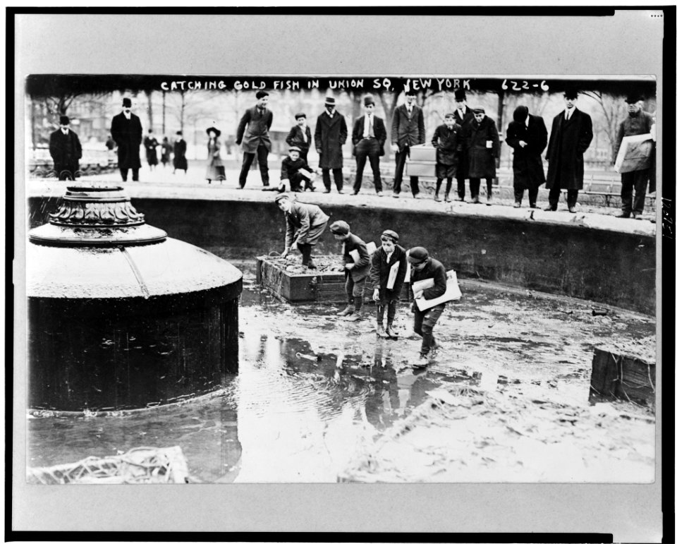 Catching goldfish in Union Square, N.Y. Dec. 1908 LCCN98506912