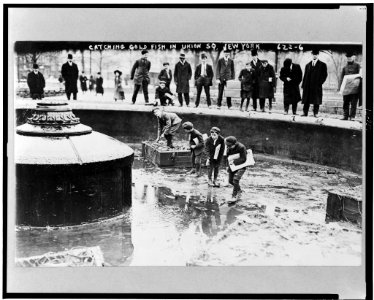 Catching goldfish in Union Square, N.Y. Dec. 1908 LCCN98506912