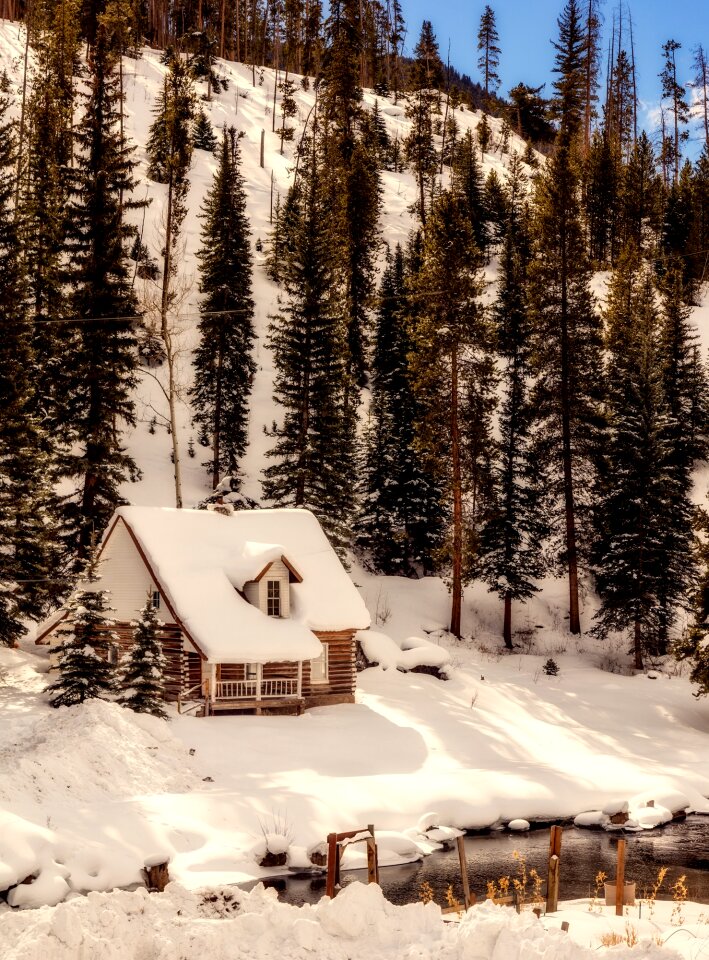 Log cabin cottage home photo