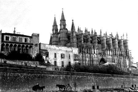 Catedral (FMF P 100)